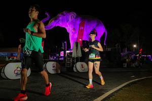 BIB: 
                            <button type="button" onclick="openModal(26534066)" class="btn btn-primary btn-sm float-right btn-popup" data-toggle="modal" data-target=".modal-high-quality">
                        <i class="fas fa-shopping-cart"></i> Add to Cart
                    </button>
                                            <button type="button" onclick="isThisMe(26534066, true)" class="btn btn-success btn-sm float-right btn-popup btn-isme hidden" data-toggle="tooltip" data-placement="bottom" title="นี่คือรูปของคุณใช่ไหม คลิกที่นี่เพื่อเอาเข้าอัลบั้ม">
                        <i class="fas fa-plus"></i> Add to album
                    </button>
                    <button type="button" onclick="isThisMe(26534066, false)" class="btn btn-warning btn-sm float-right btn-popup btn-isnotme hidden">
                        <i class="fas fa-ban"></i> Remove from album
                    </button>